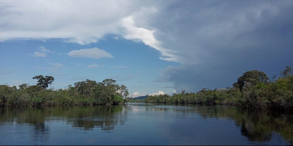 Kus amazonského pralesa sa predával na Facebooku, súd nariadil vyšetrovanie