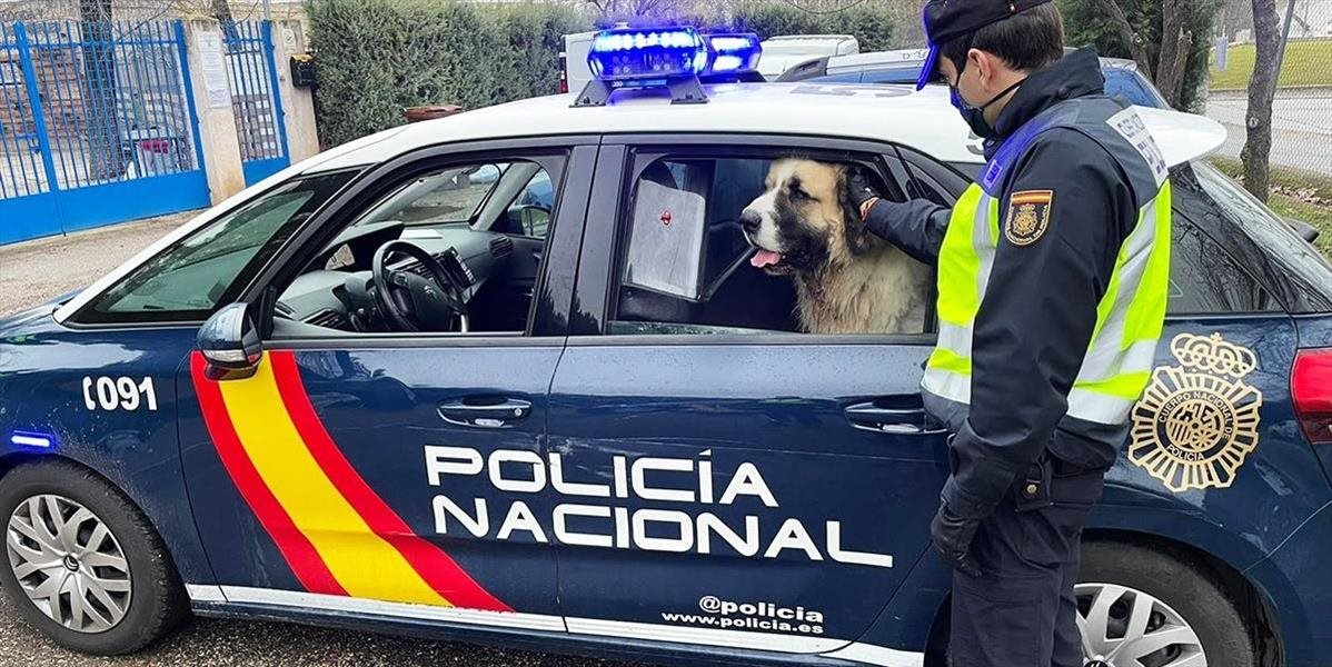 Neuveriteľný spôsob na prepravu drog, španielski policajti len krútili hlavami