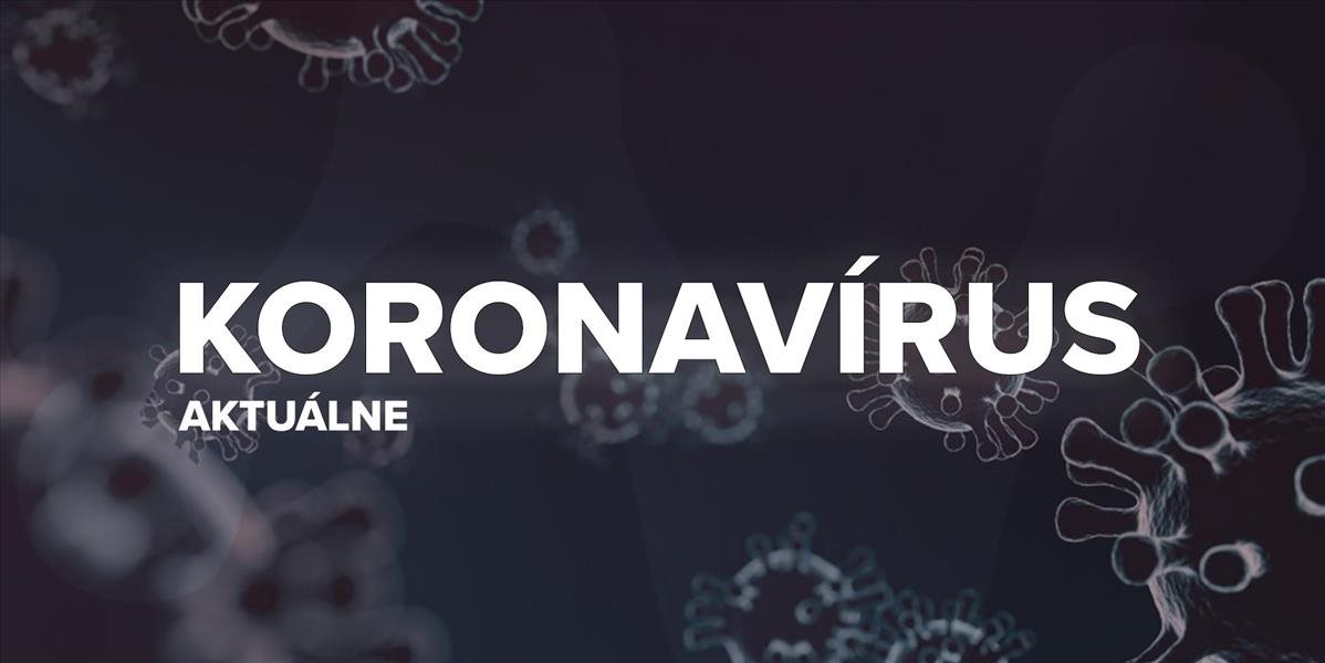 AKTUALIZÁCIA: V pondelok na Slovensku nezomrel ani jeden človek na koronavírus! Pribudlo 848 pozitívnych prípadov