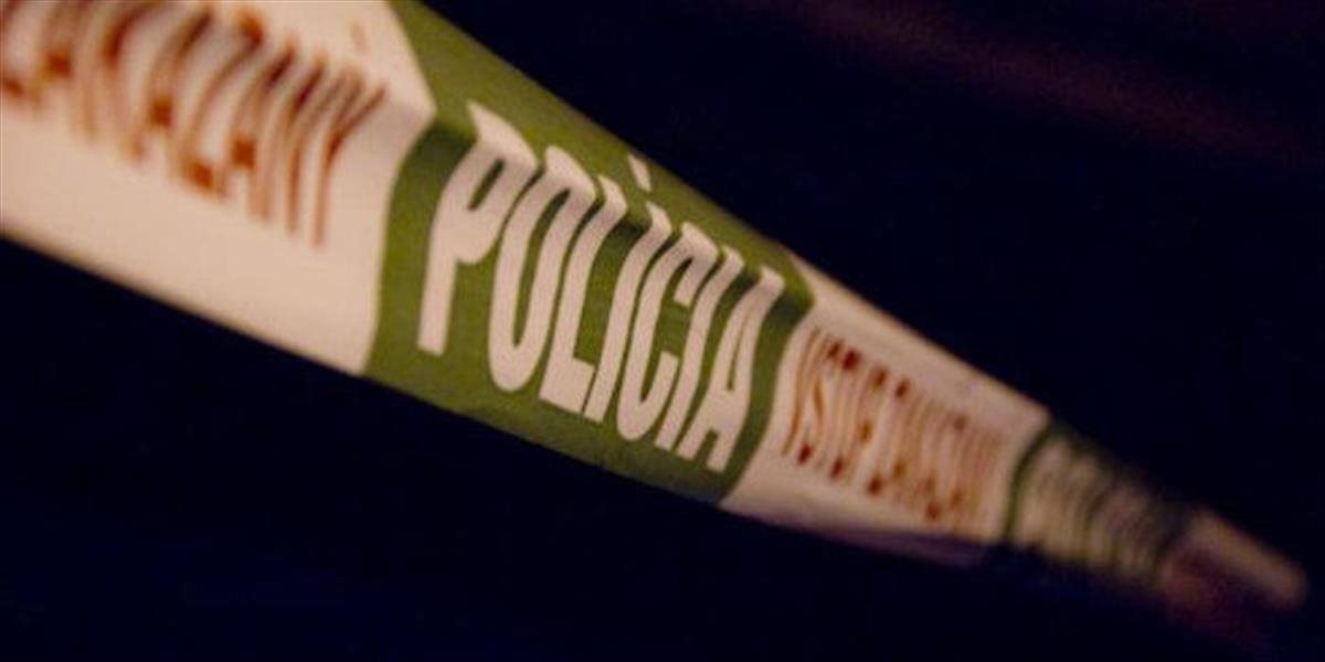 Deti v rómskej osade nechali psa dohrýzť ďalšími psami. Ich počínanie nahrávali a zverejnili