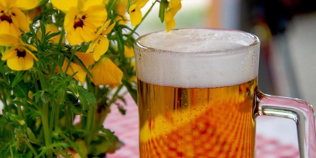 Spotreba piva v Česku za minulý rok klesla. Česi vypili najmenej od roku 1960