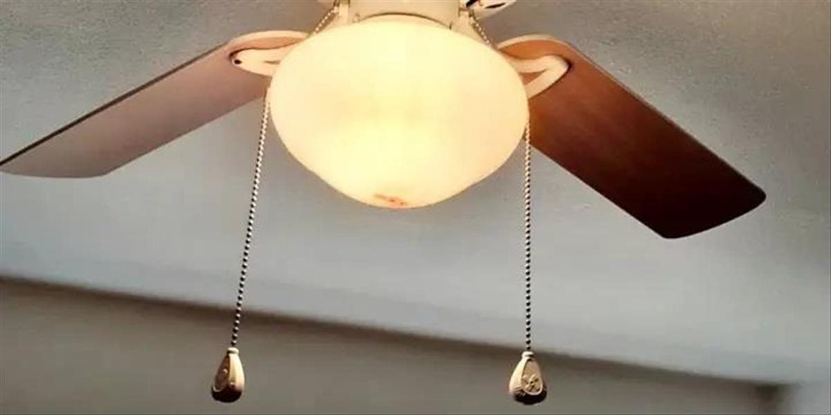 Hneď po prebudení zažila scénu, ako z hororu. Ventilátor jej spôsobil riadny šok