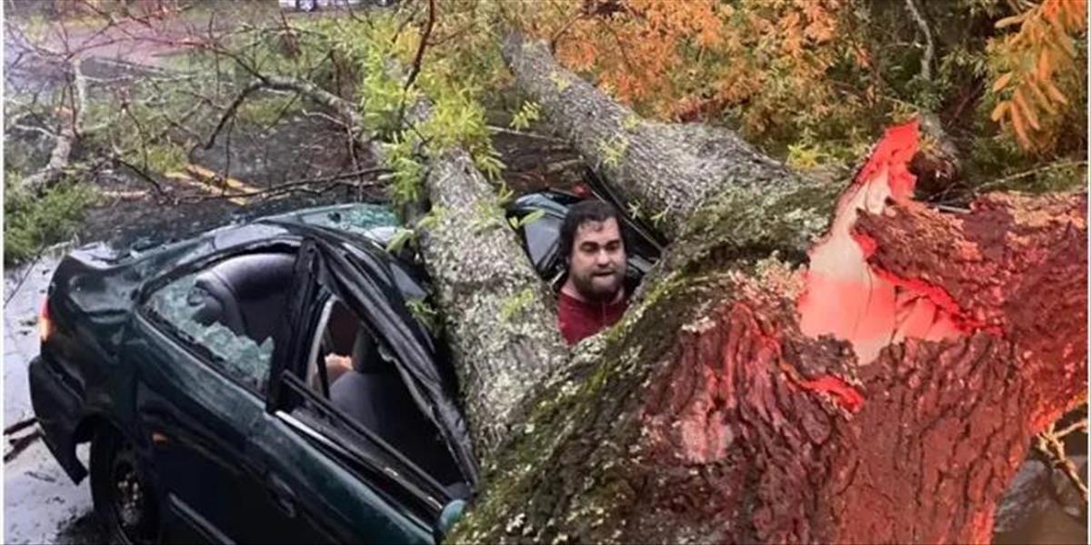 Tento muž mal neuveriteľné šťastie! Prežil pád obrovského stromu na auto, v ktorom sedel