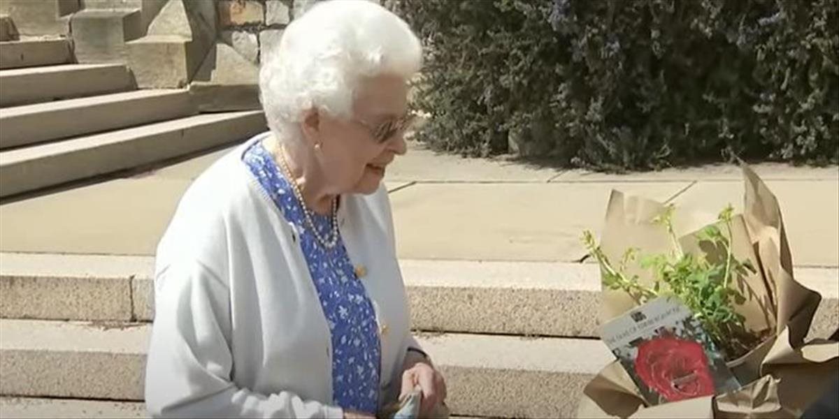 VIDEO: Alžbeta II. si pripomenula 100. narodeniny manžela vysadením ruže pomenovanej po ňom