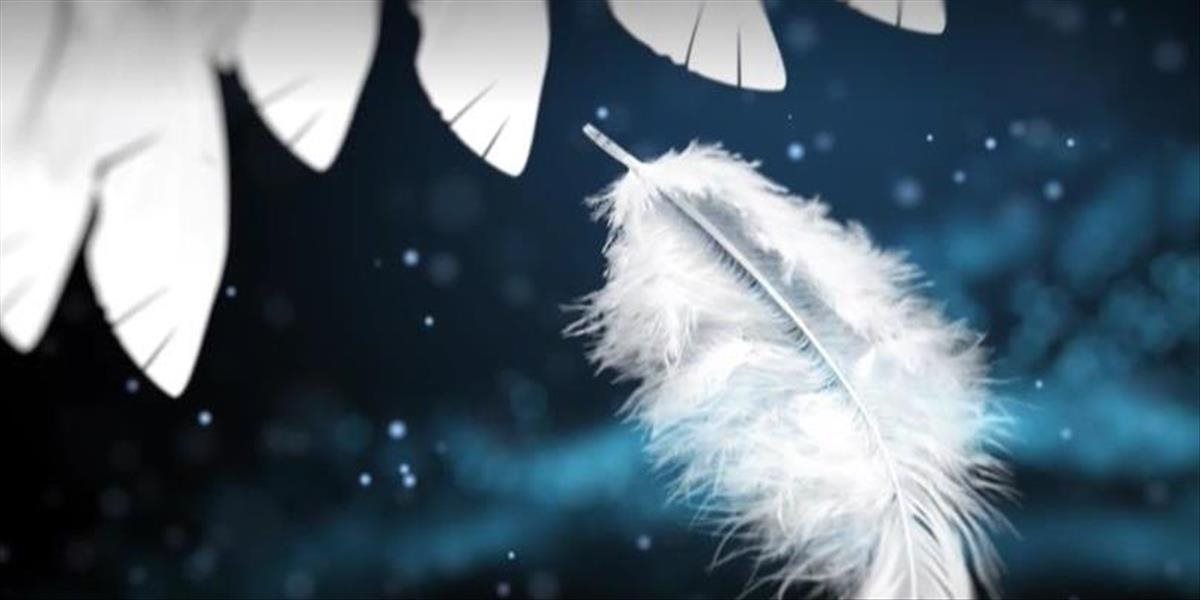 V nedeľu sa uskutočnil 24. ročník udeľovania cien Krištáľové krídlo najvýznamnejším osobnostiam Slovenska