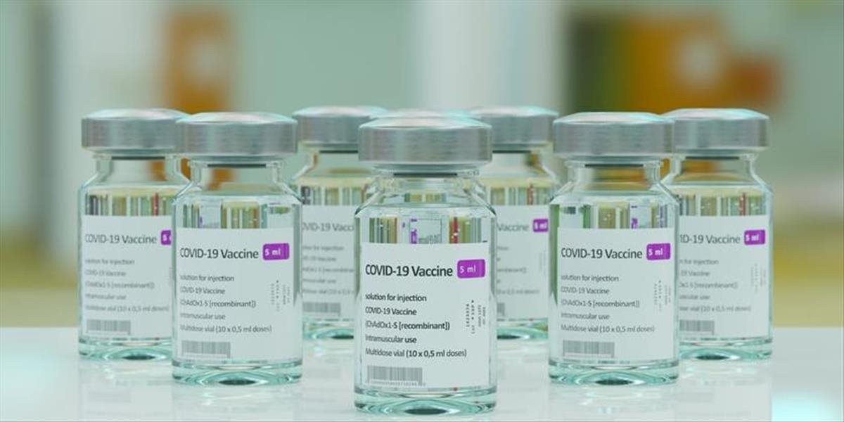 Rada vlády Slovenskej republiky pre ľudské práva diskutovala o povinnom očkovaní