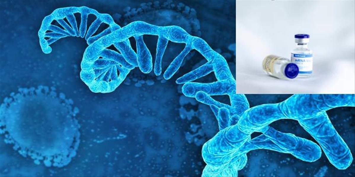 BioNtech chce vyrobiť liek proti malárii s využitím reťazca mRNA