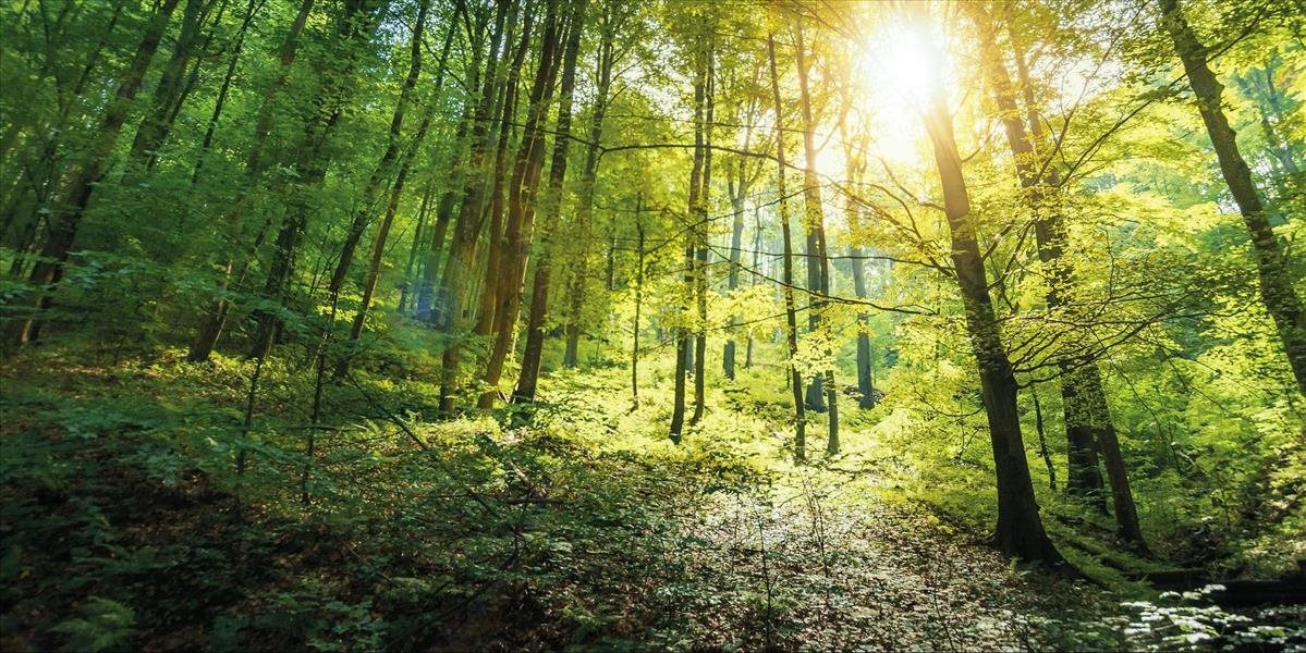 Obrovský úspech pre Slovensko! Na zoznam UNESCO pribudli unikátne slovenské lokality