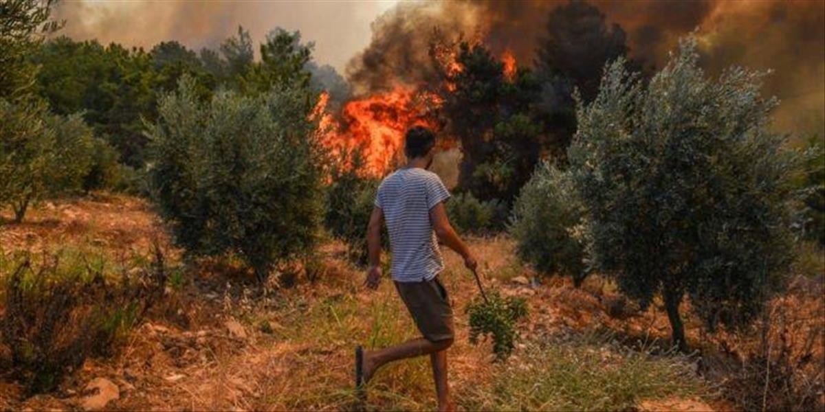 Lesné požiare v Turecku pokračujú, počet obetí stúpol na osem