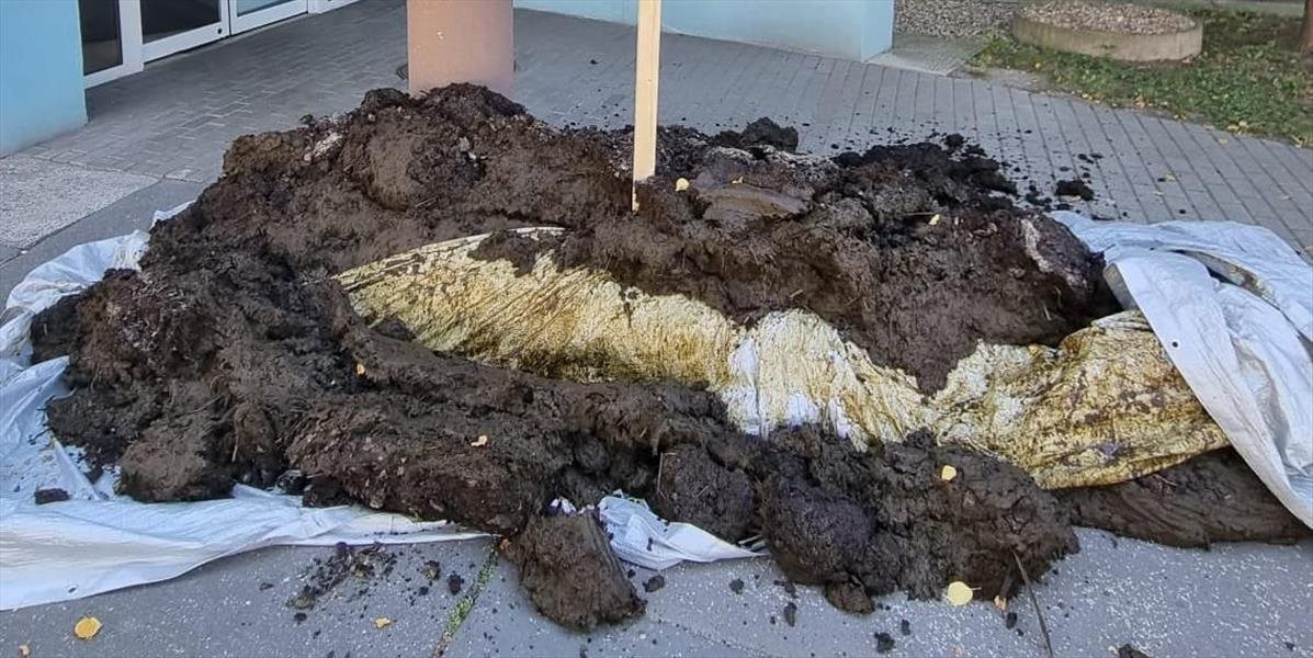 Kto vysypal hnoj pred Úrad verejného zdravotníctva SR?