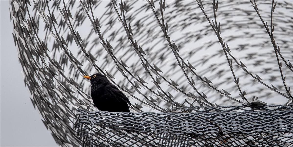 Grécko otvorilo špeciálny tábor pre migrantov. Platia tam mimoriadne bezpečnostné opatrenia