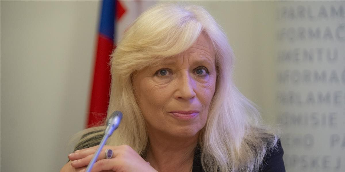 Radičová i Dzurinda predstavili riešenie pandemickej situácie