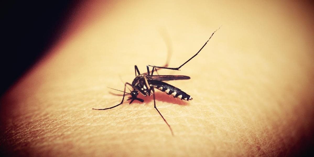 Pre pandémiu covidu vzrástol počet obetí malárie. Ako je to možné?