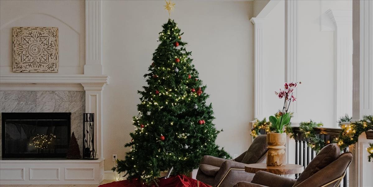 Ako si správne vybrať živý vianočný stromček? Máme pre vás zopár užitočných rád!