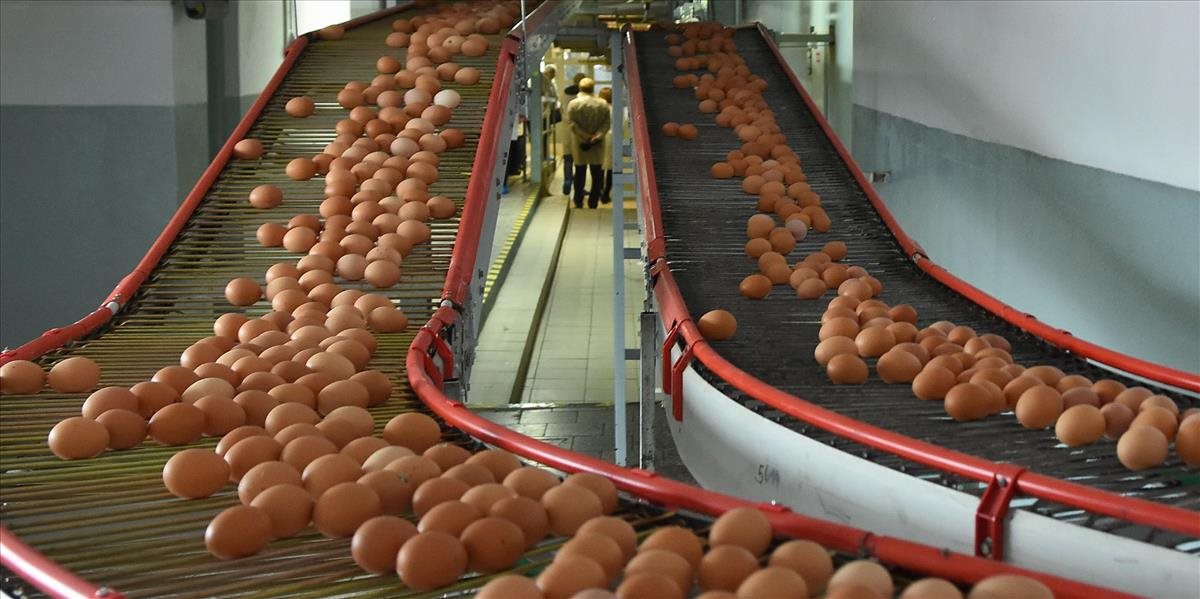 Hydinári varujú pred zdražovaním. Čo nás čaká?