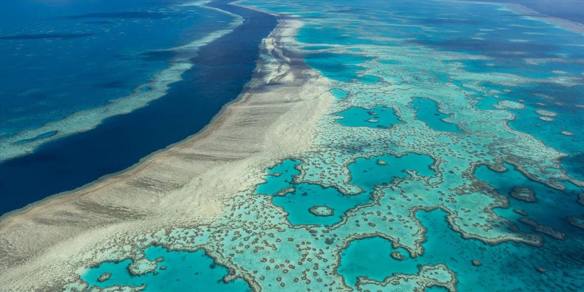 Milióny na záchranu Veľkej koralovej bariéry