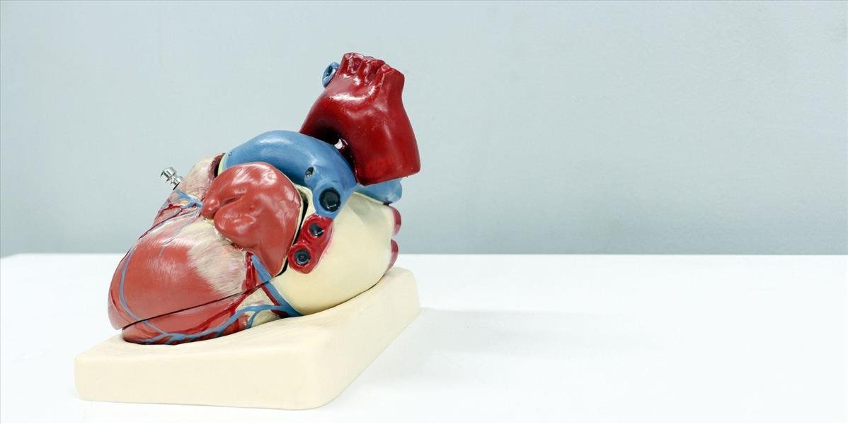 Srdce na transplantáciu možno viezť dlhšie vďaka prístroju