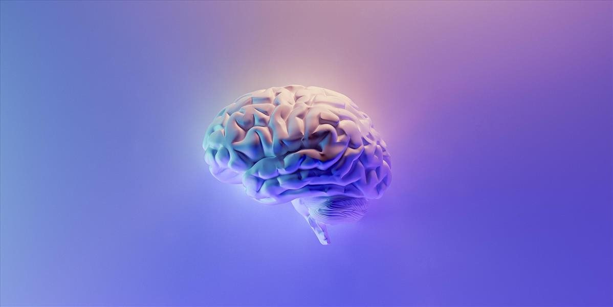 Už vieme, čo robí mozog človeka v momente smrti