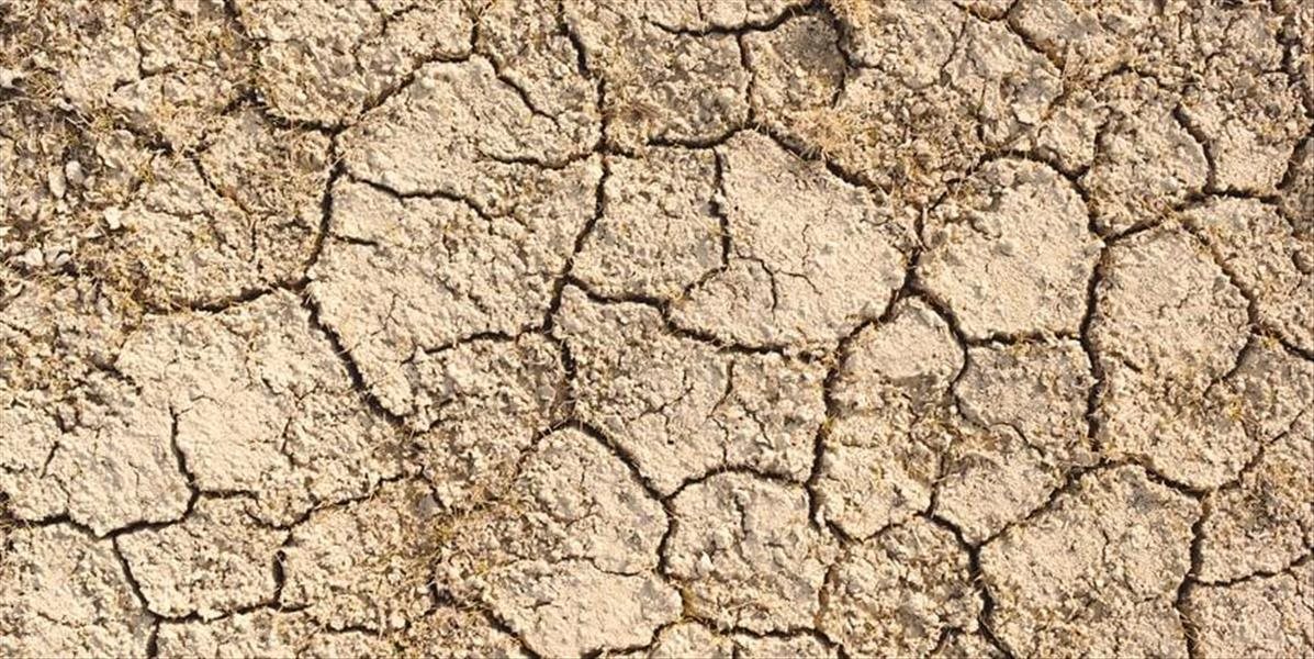 Varovanie Greenpeace: Na Slovensku môžu nastať bezprecedentné suchá a povodne