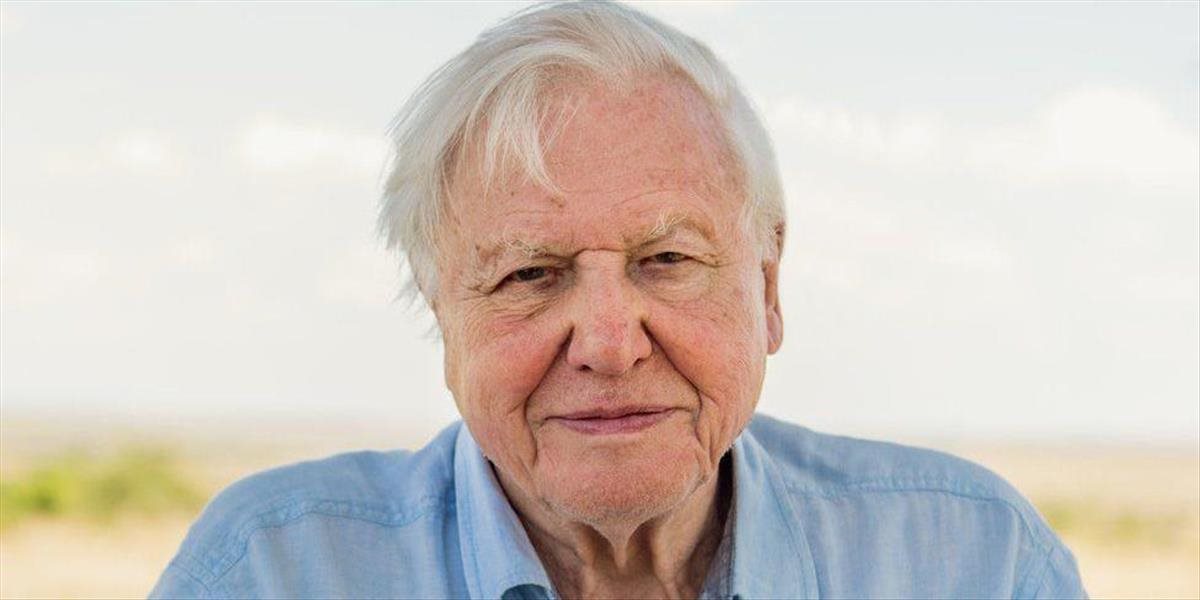OSN ocenila britského prírodovedca Attenborougha za celoživotný prínos