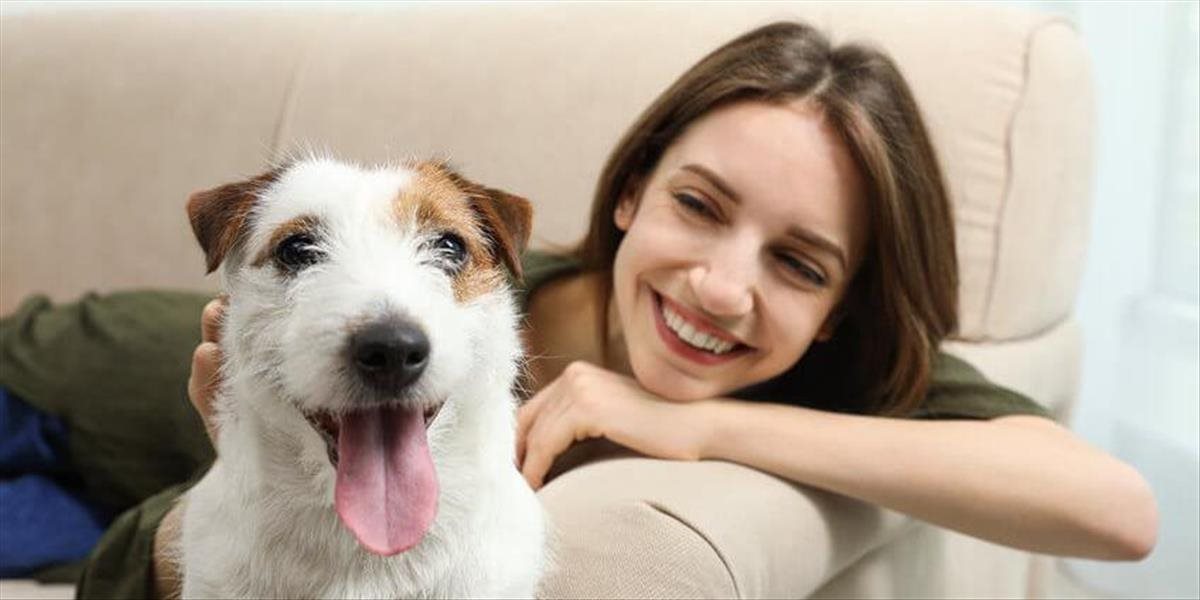 Ako dosiahnuť krásnu srsť u psa? Dôležitá je vnútorná výživa