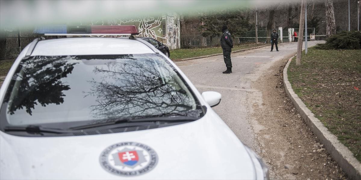 Polícia chytila mladíkov pri vykopávaní hrobu, vyhadzovali aj ostatky