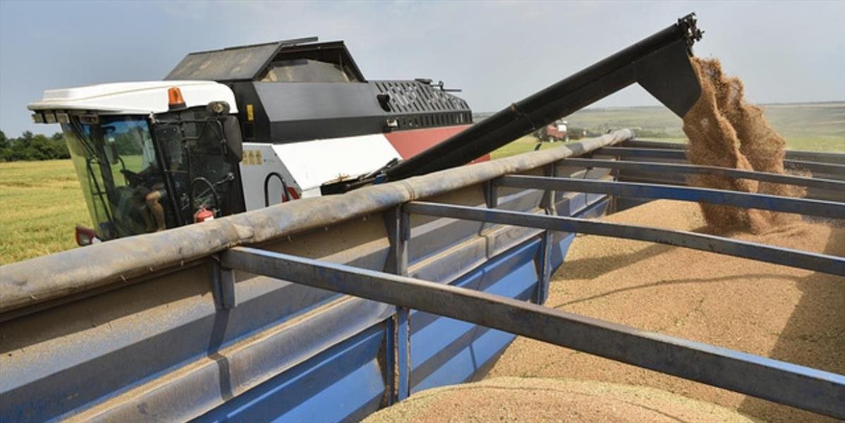 Situácia na Ukrajine: Obilný koridor, požiadavky Kyjeva a víza pre Rusov