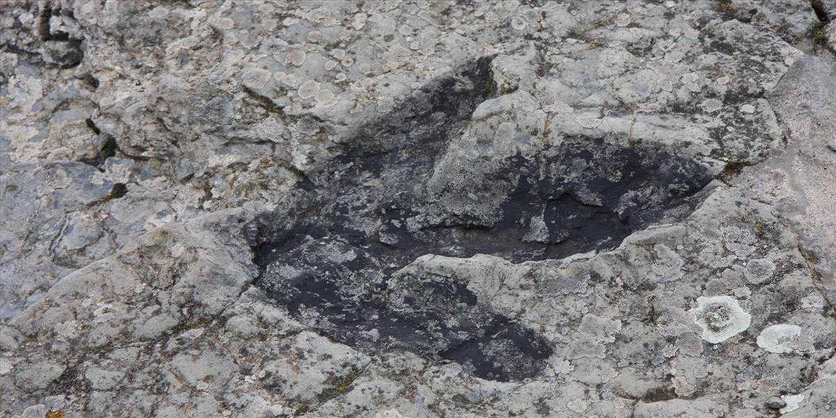 Našli pozostatky najväčšieho mäsožravého dinosaura Európy. Ako vyzeral?