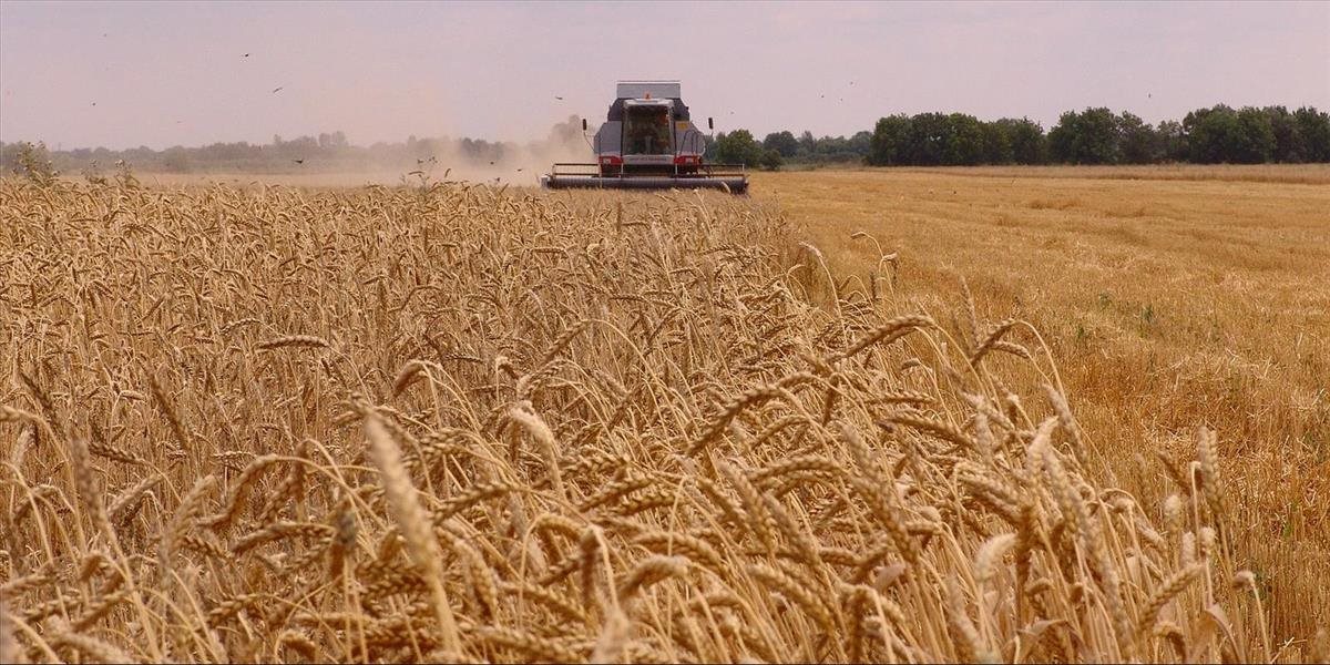 OSN pred zimou plánuje zvýšiť vývoz obilia z Ukrajiny