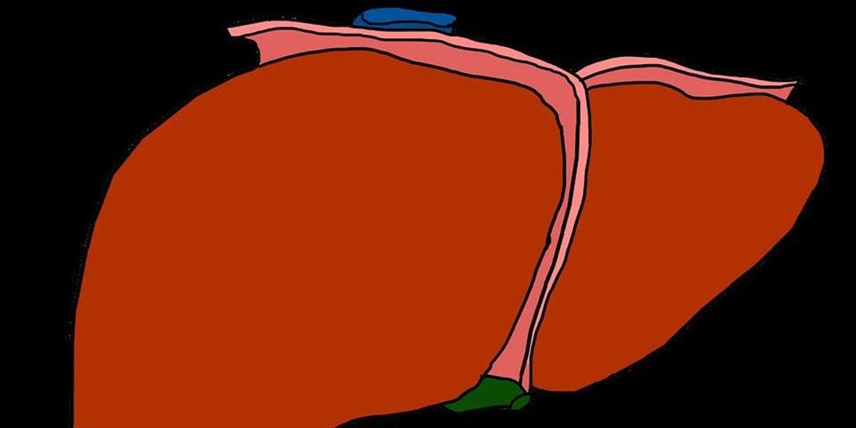 Ako funguje pečeň a ako jej škodíme?