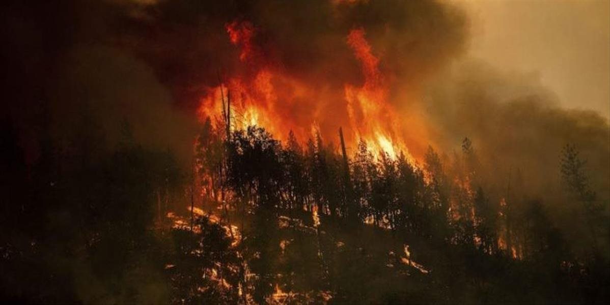 Požiar v Národnom parku Malá Fatra vyšetruje enviropolícia
