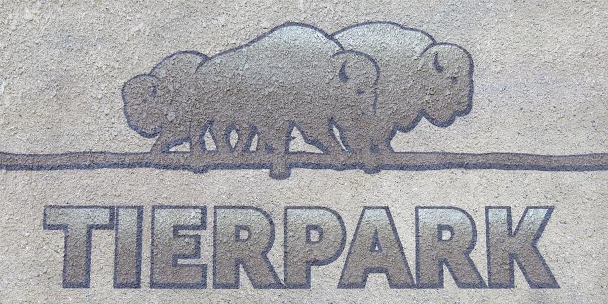 Berlínsku zoo zatvorili z dôvodu výskytu vtáčej chrípky