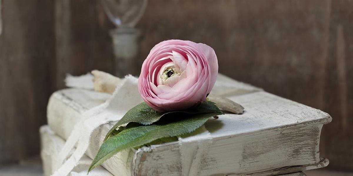 TIP NA KNIHU Čo by ste robili, ak by sa ukázalo, že človek, s ktorým roky žijete, je obyčajný klamár? On jej veril, tak veľmi jej veril a ona ho zradila