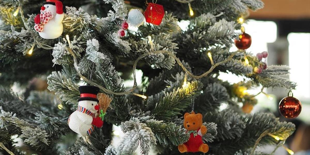 Lesníci z Banskej Bystrice darovali detským pacientom v nemocnici vianočný stromček
