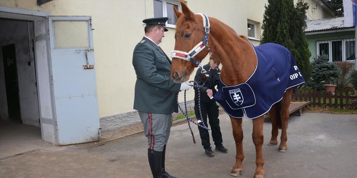 Jazdná polícia má 19 koní, jeden po 11 rokoch odchádza do policajného "dôchodku"