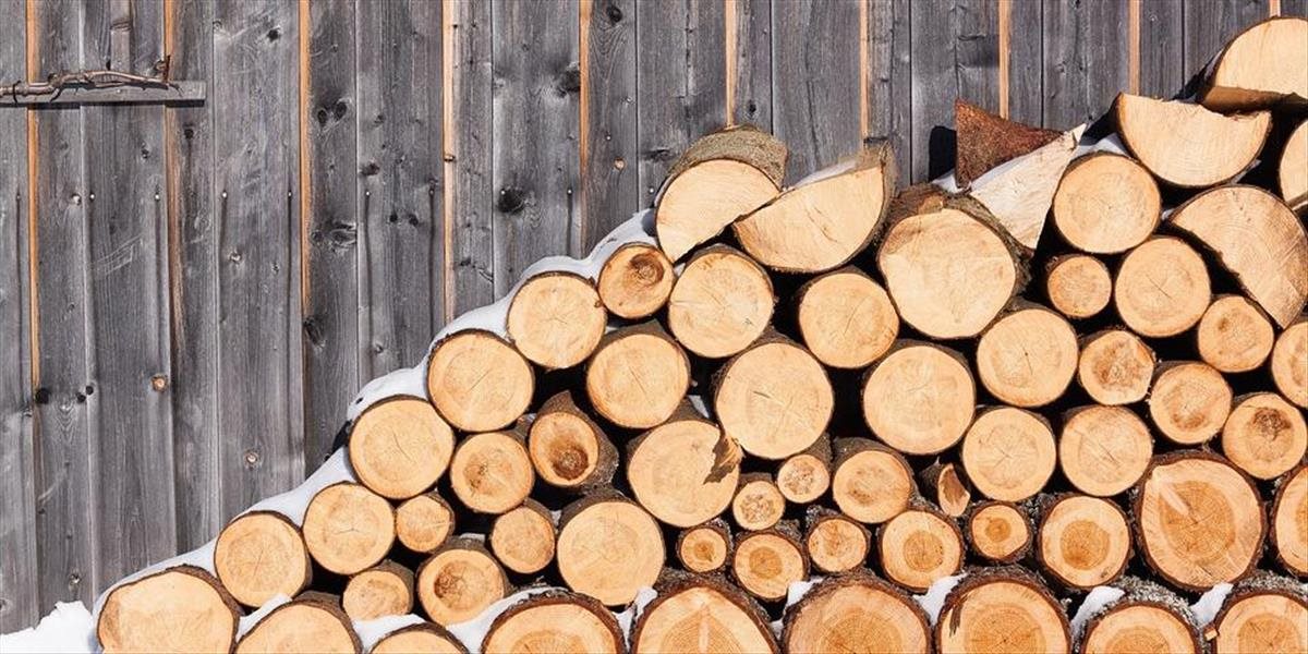 Človek v ohrození zabezpečil drevo pre 300 rodín v Zakarpatskom regióne