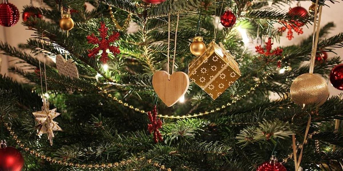 Tradícia vianočného stromčeka je nemecká a prvý elektricky osvetlený bol v USA