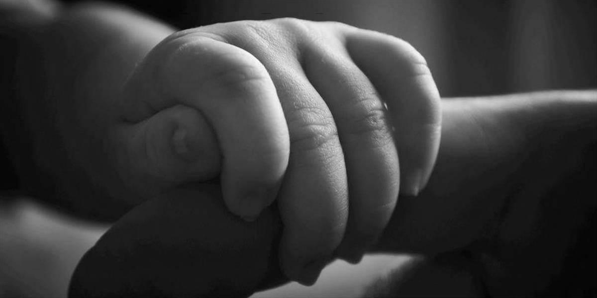 V komárňanskej nemocnici sa presne na Štedrý deň narodilo 800. bábätko