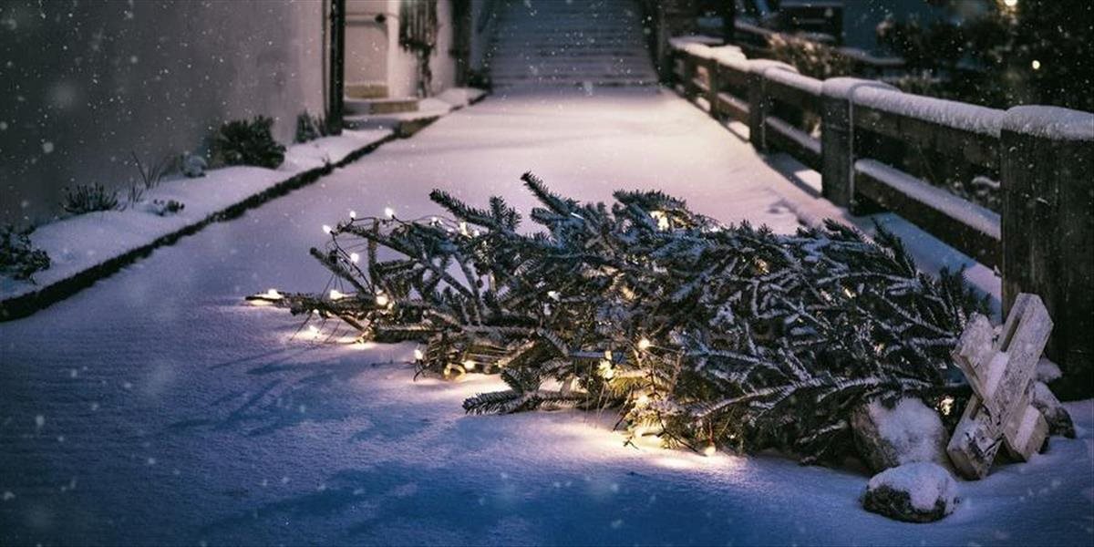 Mesto Žiar nad Hronom začne so zberom živých stromčekov vo štvrtok