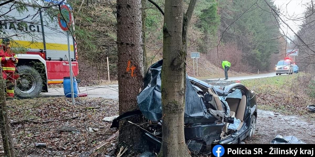 54-ročný vodič zahynul po náraze do stromu
