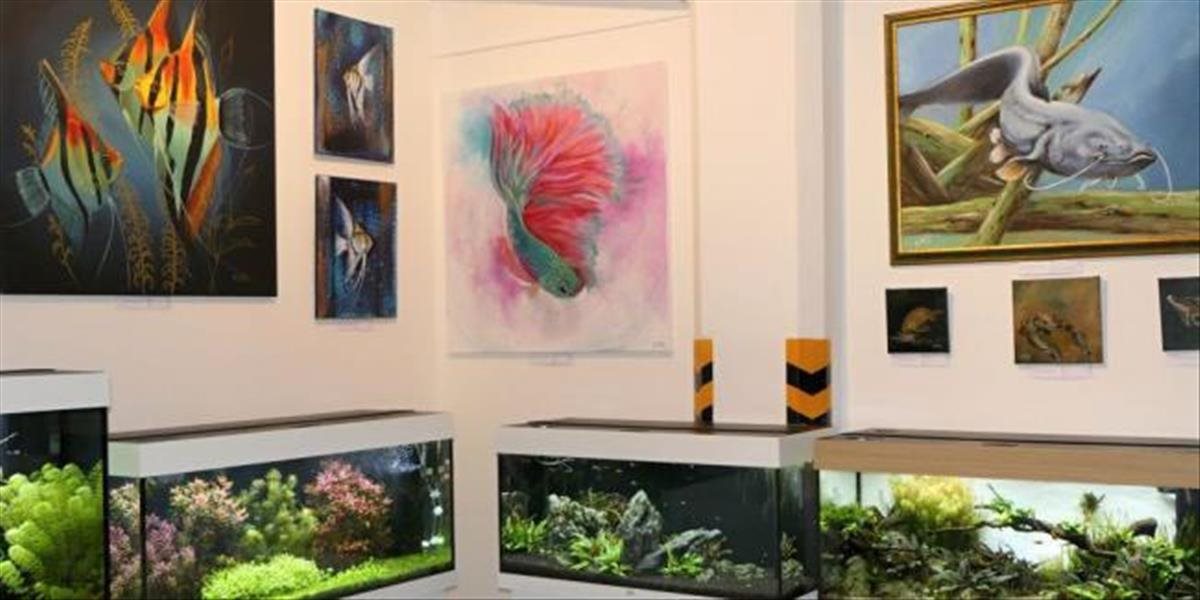 Akvaristika a maľovanie spojili na výstave Aquarium Art v Žiline 40 umelcov