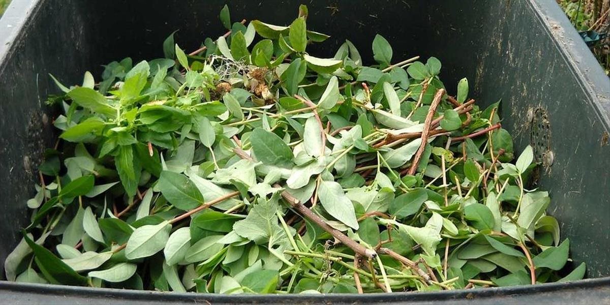 Na jeseň vyzbierali v Trenčíne takmer 200 ton biologický rozložiteľného odpadu