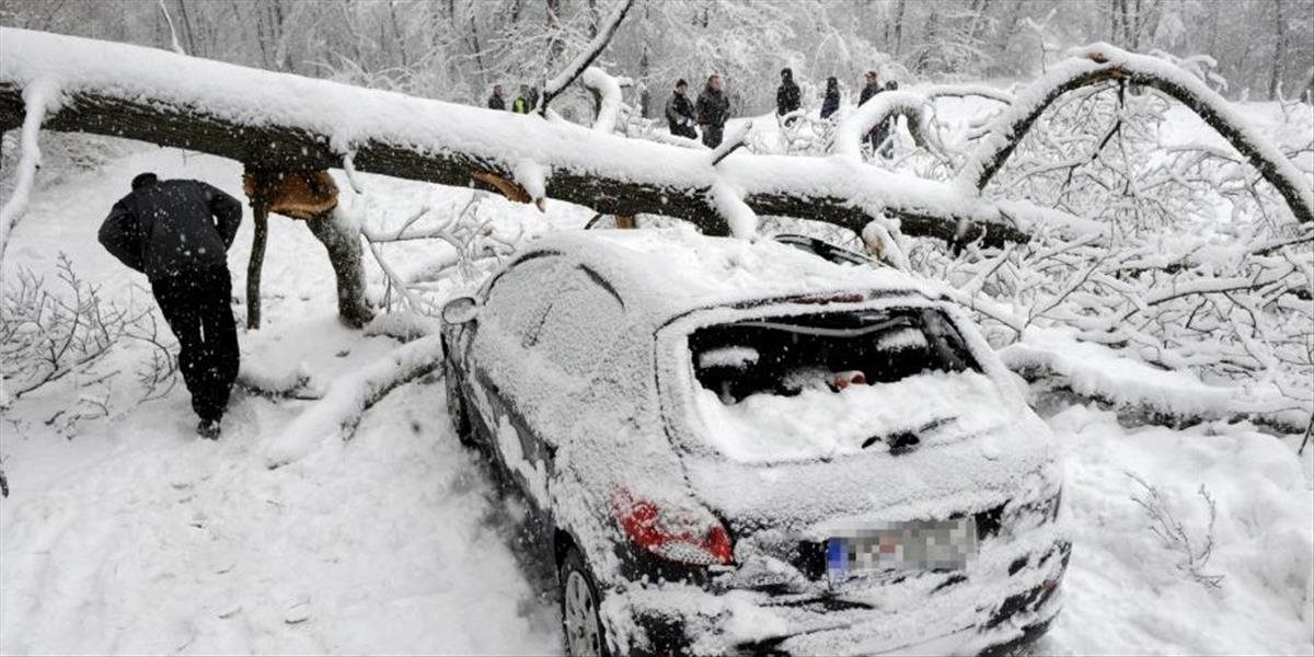 Pre husté sneženie popadali v Hornom Tisovníku stromy