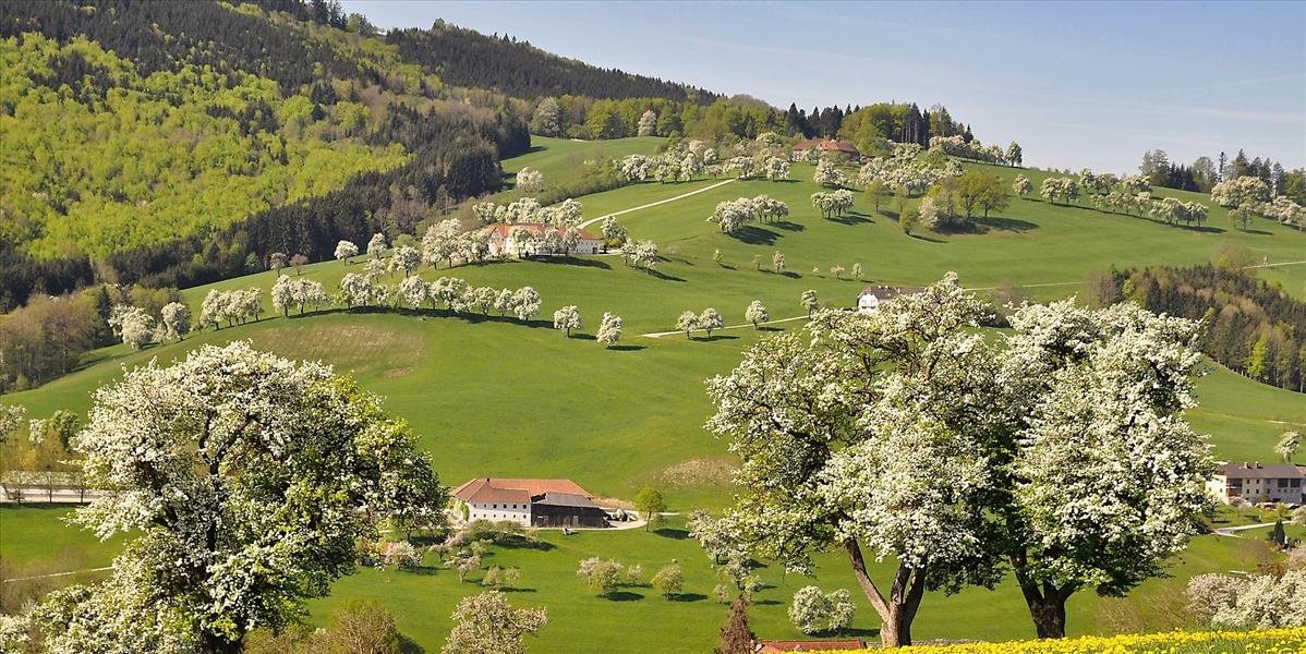 Na západnom Slovensku zaznamenali skoré kvitnutie liesky obyčajnej