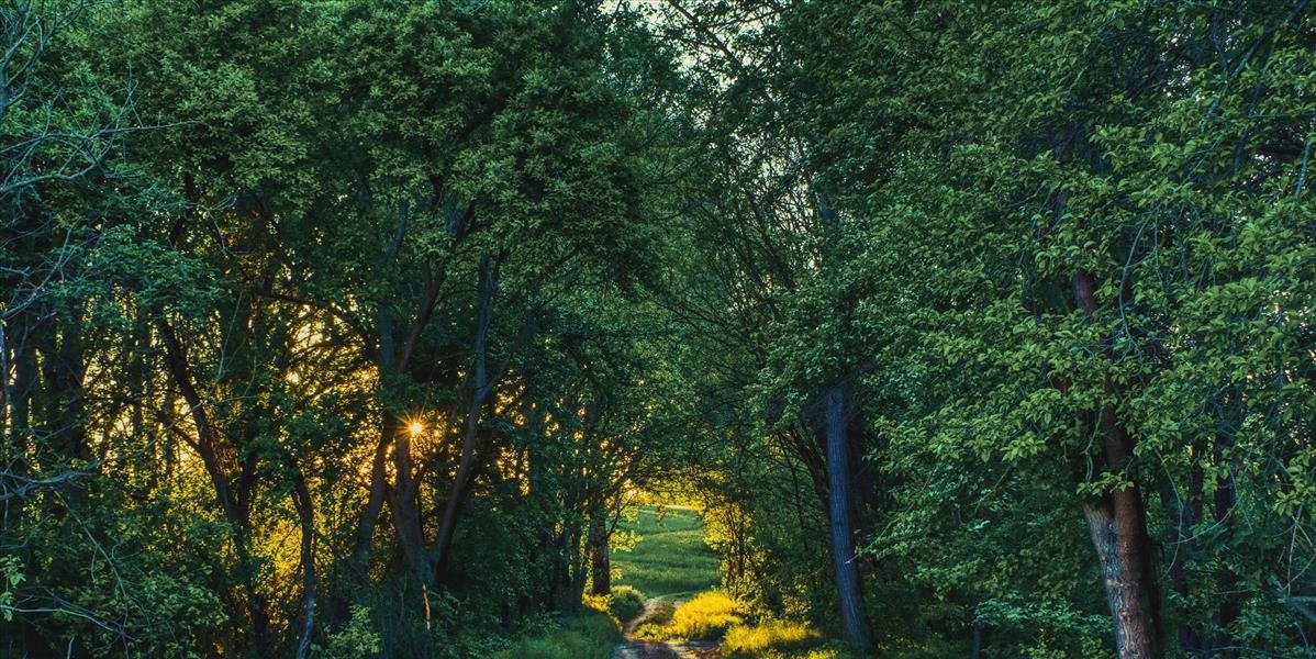 Mesto Zlaté Moravce pripravuje realizáciu vodozádržných opatrení