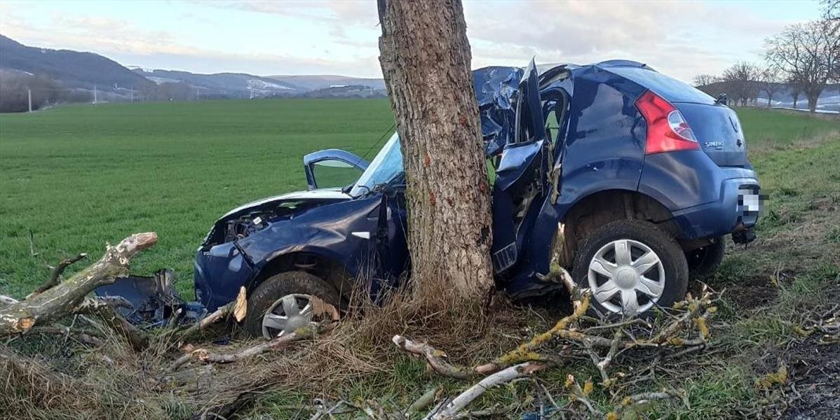 Medzi Vrbovým a Prašníkom vyhasol život 66-ročného vodiča