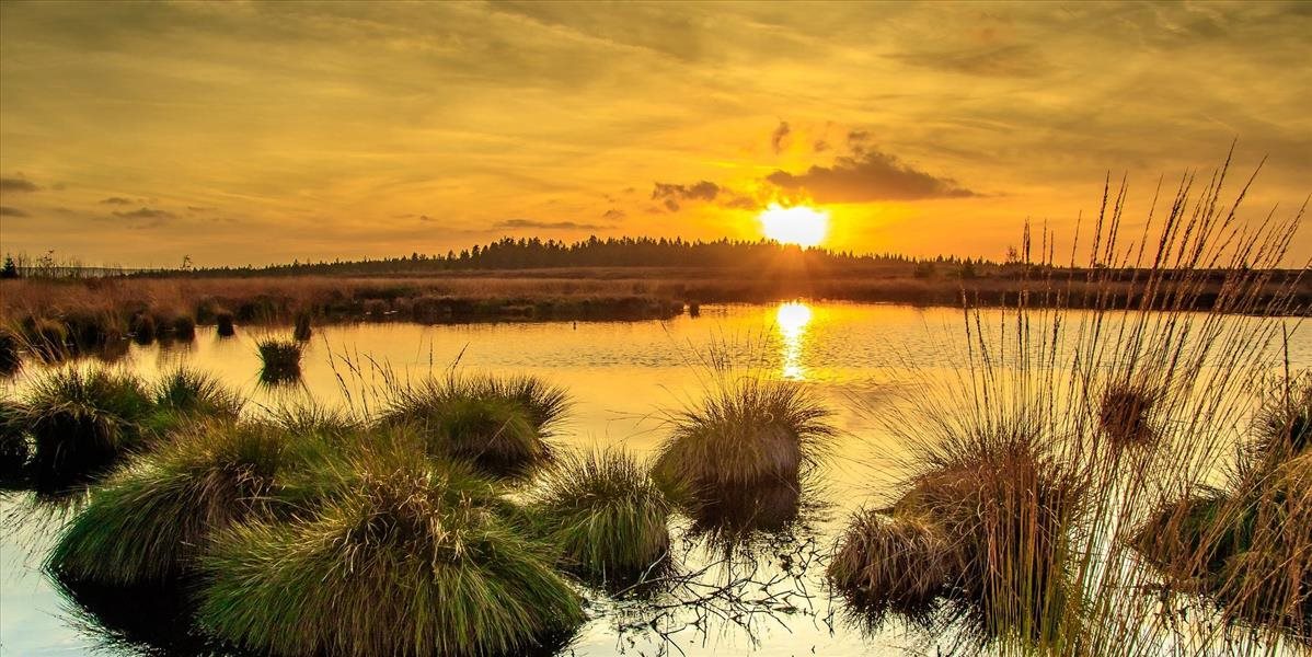 Mokrade patria k najohrozenejším ekosystémom a miznú rýchlejšie ako lesy