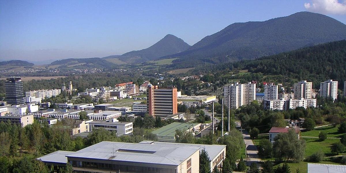 Mesto  Považská Bystrica vyhlásilo pre snehovú kalamitu mimoriadnu situáciu