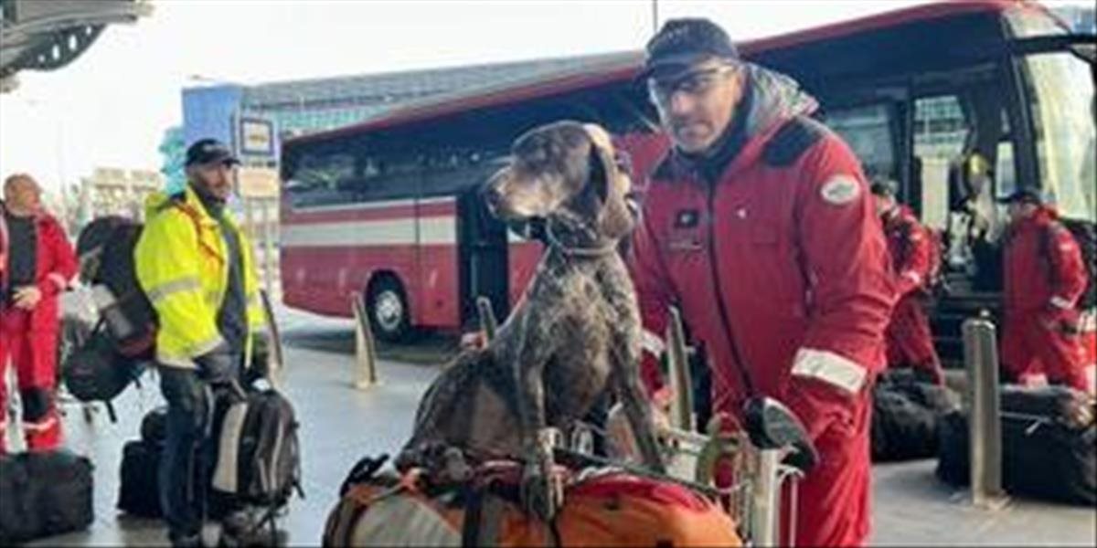 EÚ posiela viac než 1150 záchranárov a 70 psov do Turecka