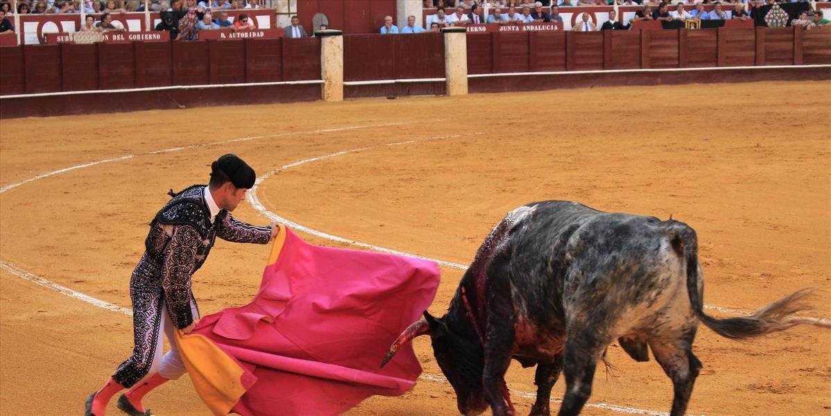 Španielsky súd odobril použitie poukazov pre mládež na býčie zápasy.